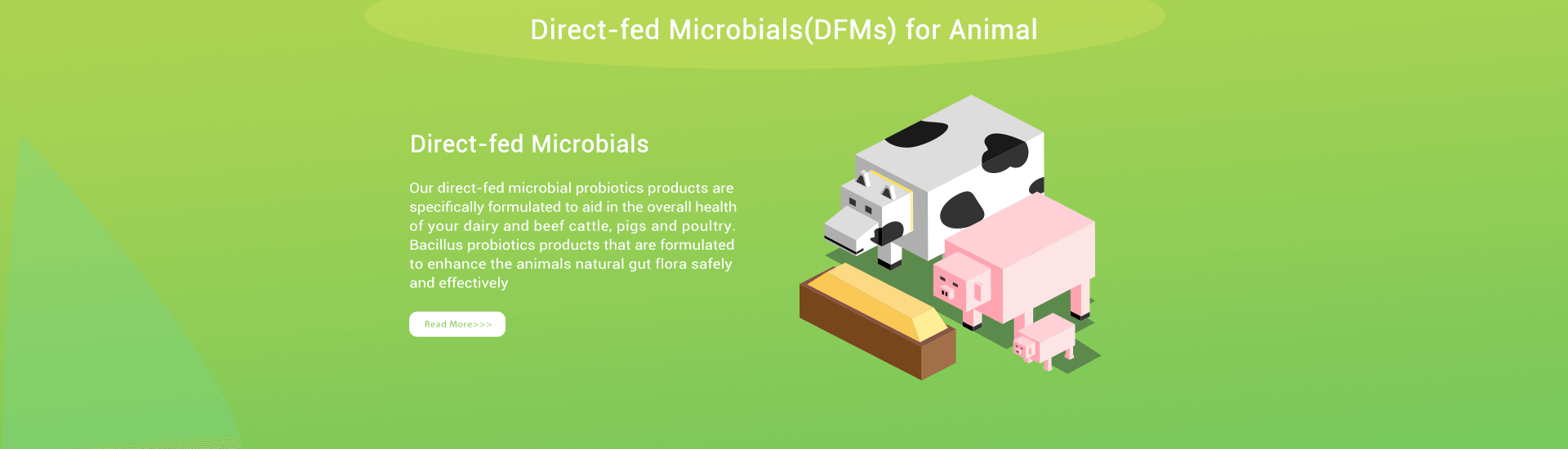 Direct-fed Microbials