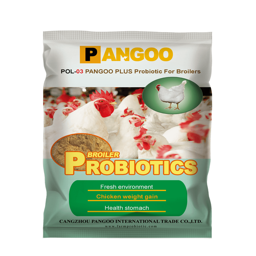 Poultry Probiotics for Broiler