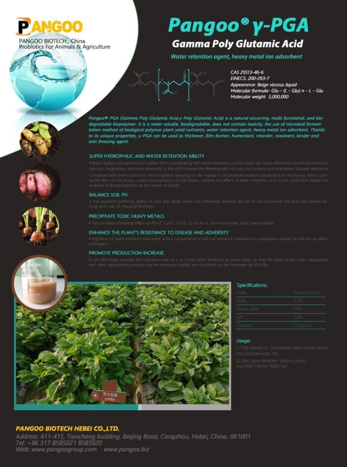 Gamma Poly Glutamic Acid