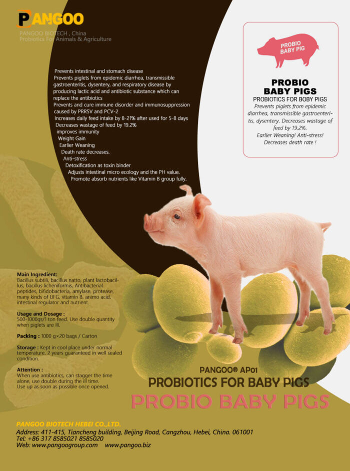 Probiotics for Piglet