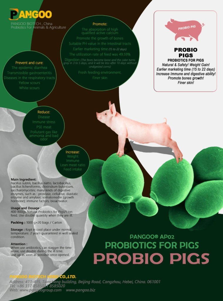 Probiotics for Pigs