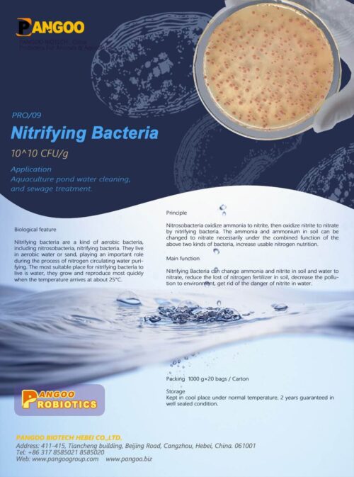 PRO/09 Nitrifying Bacteria