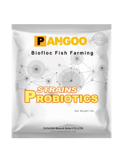 Biofloc Fish Farming