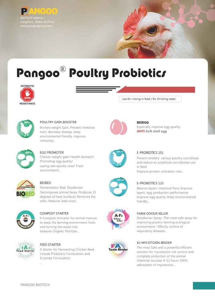 Pangoo Poultry