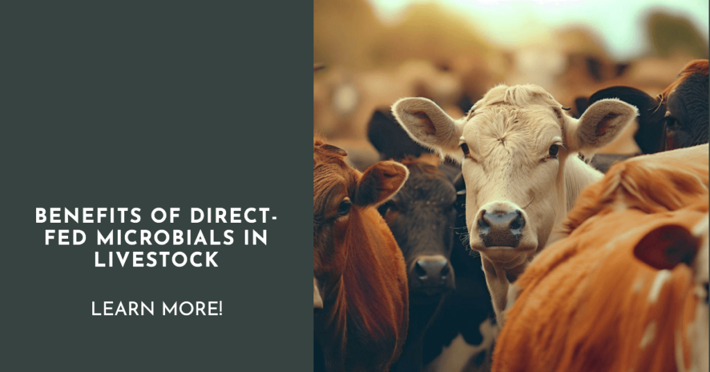Benefits of direct-fed microbials