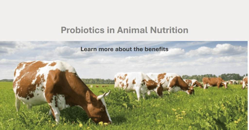 animal nutrition